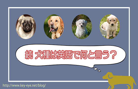 続 犬種は英語で何という Weekly ウィークリー